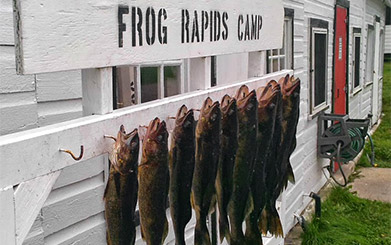 Frog Rapids Camp - Walleye fishing